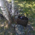 Iso ostoskassikori 55 €, musta-tummanruskea, mustat sangat