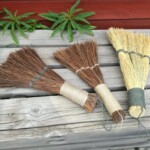 Viskat ryhmäkuvassa